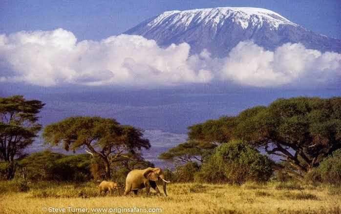 MT. KILIMANJARO