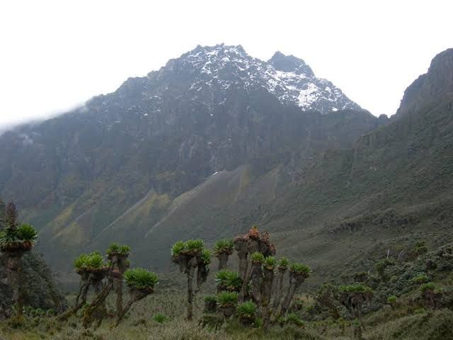 MT. ELGON